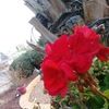 moses_54